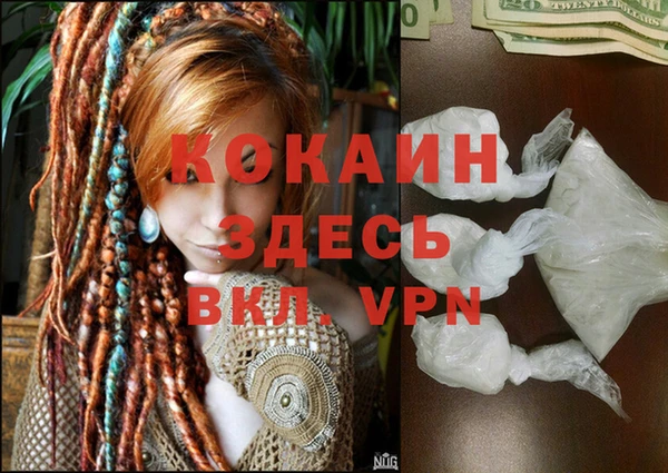 индика Богородск