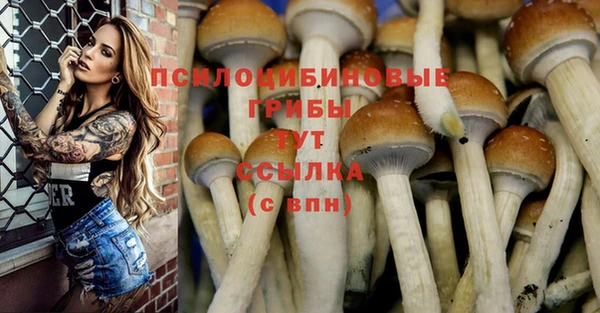 мефедрон Богданович
