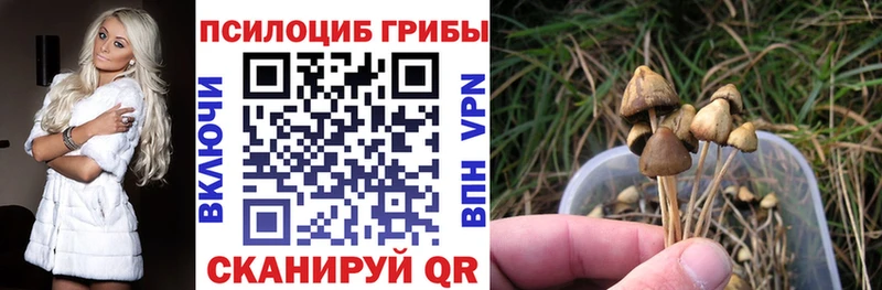 цена   МЕГА ссылка  Галлюциногенные грибы MAGIC MUSHROOMS  Наволоки 